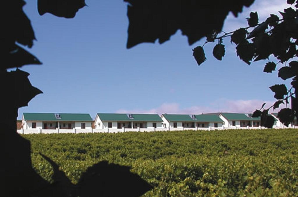D'Aria Guest Cottages Durbanville Luaran gambar
